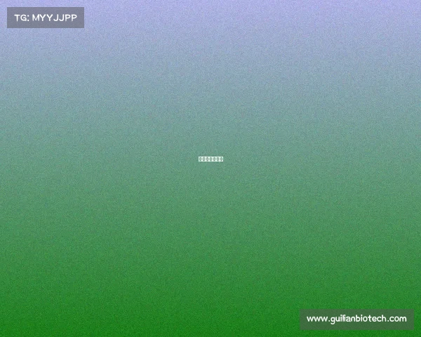 少儿搏击俱乐部