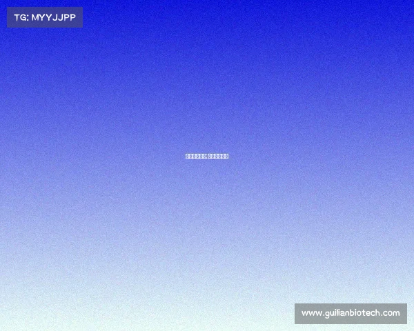 篮球红队赛事;篮球红队蓝队