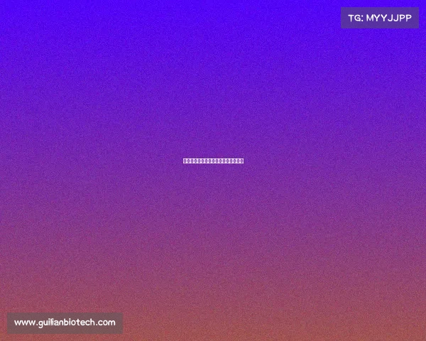 环塔赛事公告二—环塔冠军版最新消息