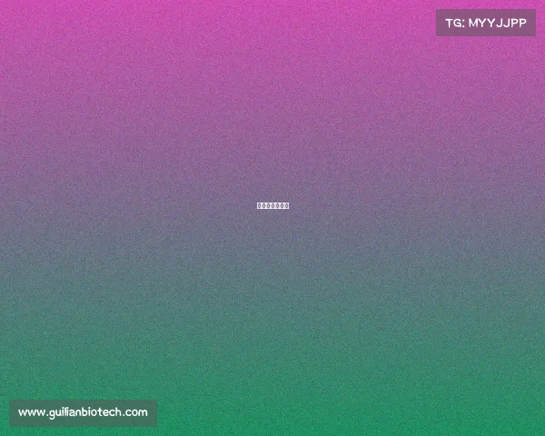 空手道比赛日程