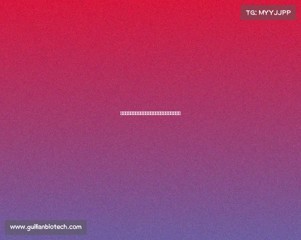 足球赛事专区激情直播精彩回放战术解析球迷互动天地